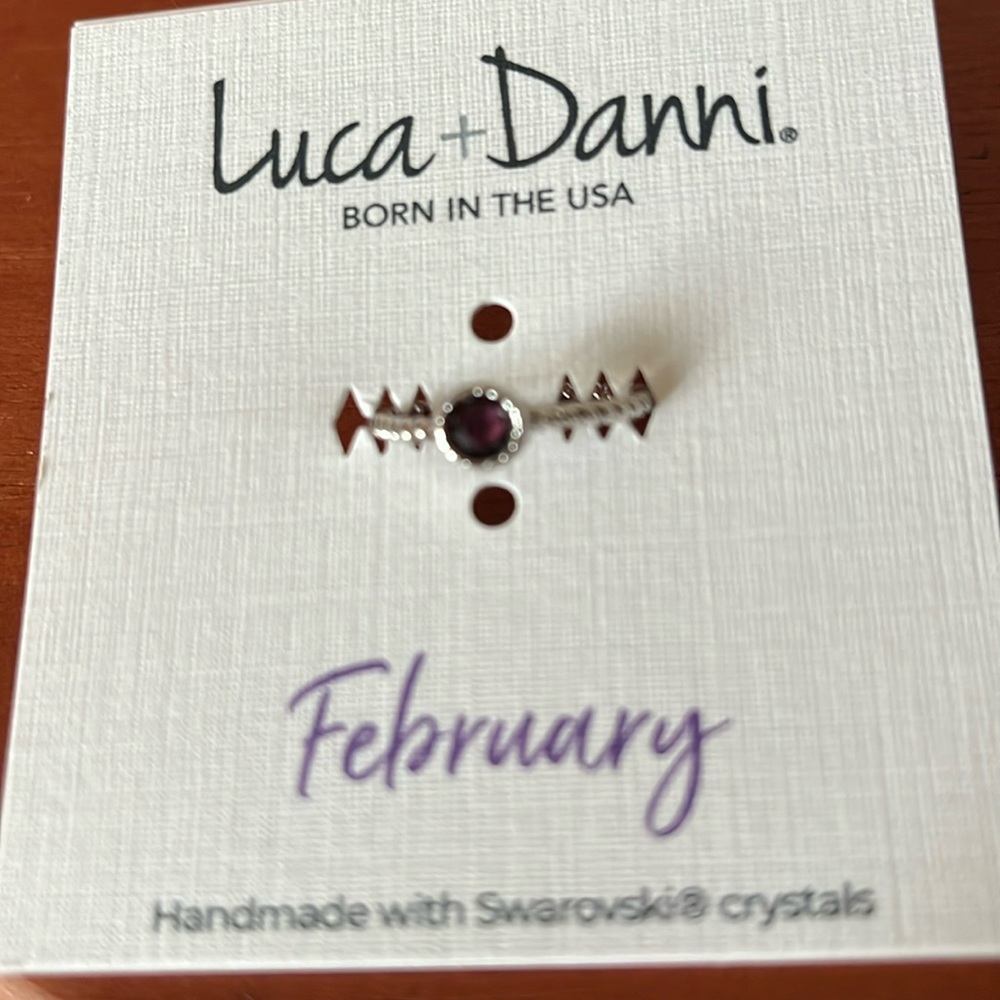 Luca + Danni February Birthstone ring .